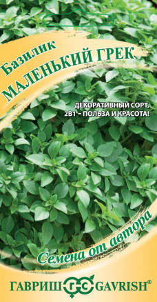 Базилик Маленький Грек