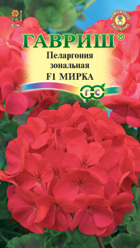 Пеларгония зональная Мирка 