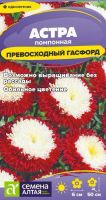 Астра Превосходный Гасфорд помпонная купить