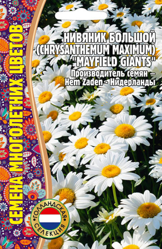 Нивяник Mayfield Giants большой