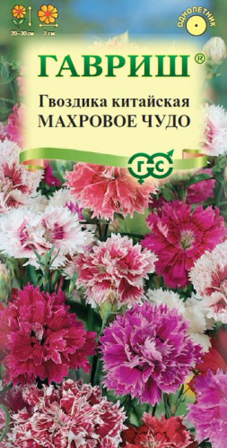 Гвоздика китайская Махровое Чудо, смесь 