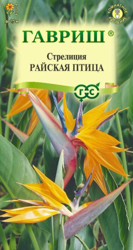 Стрелиция Райская Птица 