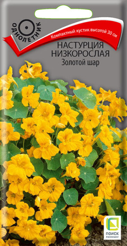 Настурция низкорослая Золотой шар
