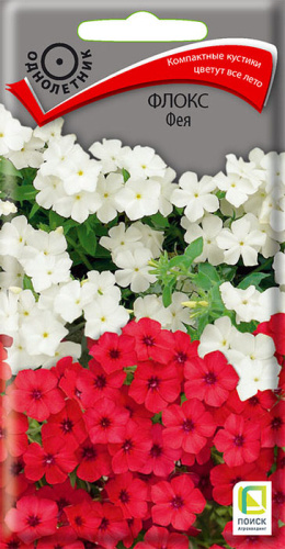 Флокс Фея