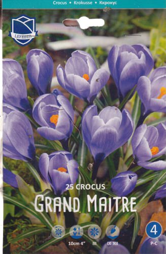 Крокус vernus "Grand Maitrer" (1х25шт)