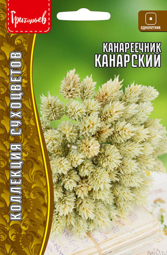 Канареечник Канарский