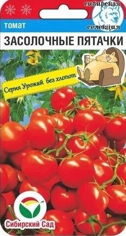 Томат Засолочные пятачки