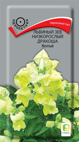 Львиный зев низкорослый Дракоша Жёлтый