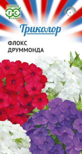 Флокс смесь серия Триколор друммонда