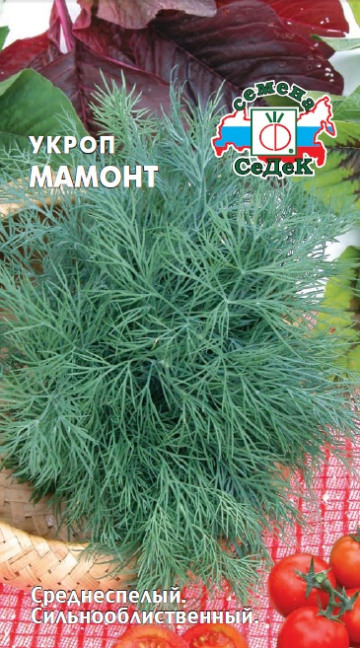 Укроп Мамонт 