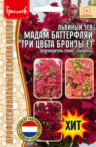 Львиный Зев Мадам Баттерфляй Три Цвета Бронзы