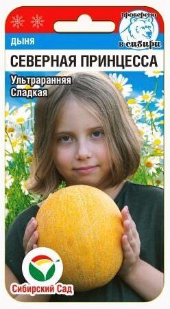 Дыня Северная принцесса 