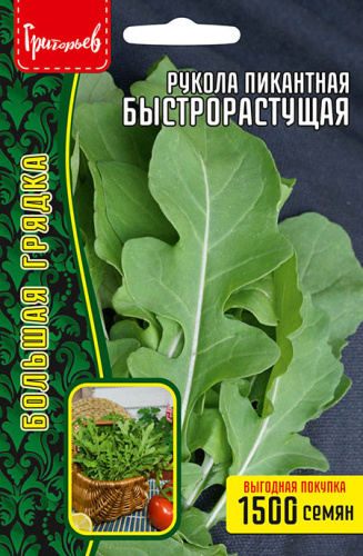 Руккола пикантная Быстрорастущая 1500шт