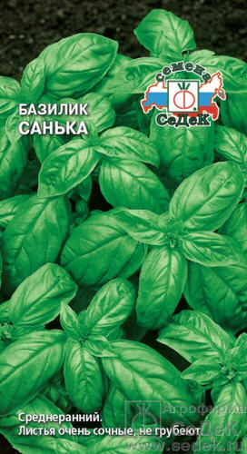 Базилик Санька 