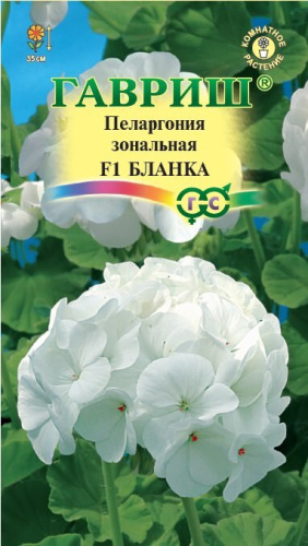 Пеларгония Бланка 