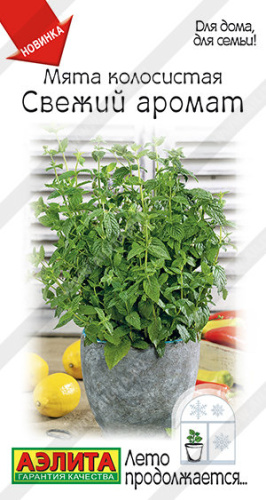 Мята колосистая Свежий аромат