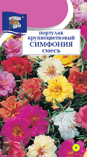 Портулак Симфония смесь крупноцветковый  