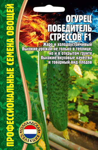 Огурец Победитель Стрессов F1 (голландия)