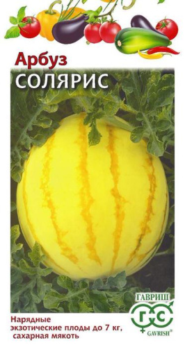 Арбуз Солярис с желтой мякотью