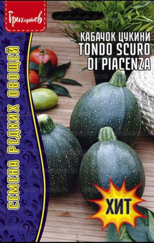 Кабачок Тондо Скуро ди Пьяченца Tondo Scuro Di Piacenza