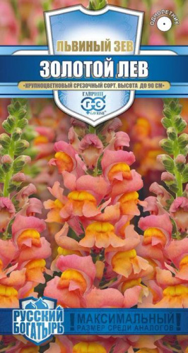 Львиный Зев Золотой Лев Русский богатырь