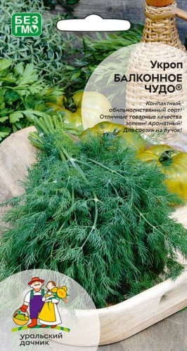 Укроп Балконное чудо