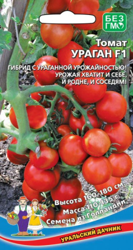 Томат Ураган F1
