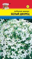 Лобелия Белый дворец низкорослая  купить