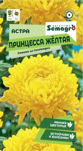 Астра Принцесса жёлтая 
