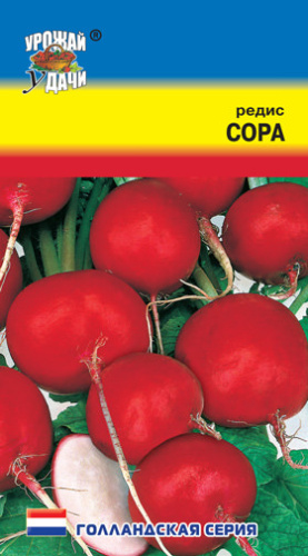 Редис Сора 