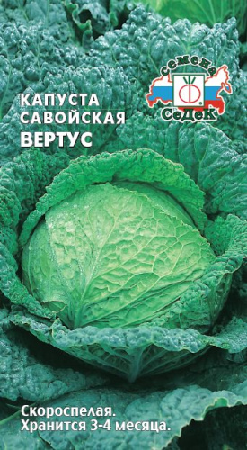 Капуста (савойская) Вертус