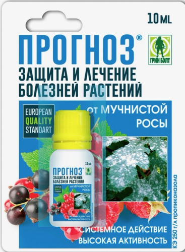 Прогноз 10мл