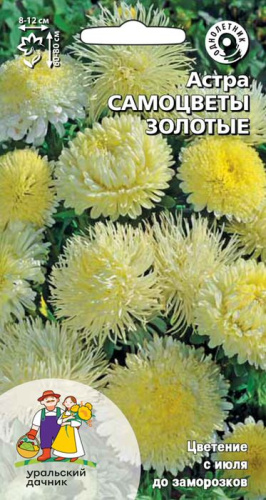 Астра Самоцветы золотые