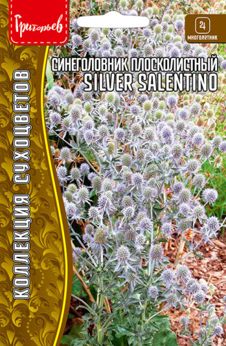 Синеголовник Silver Salentino плоскол. 