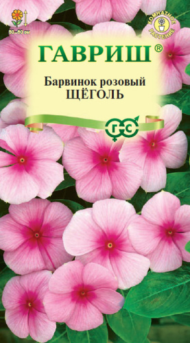 Барвинок (катарантус) розовый Щеголь 