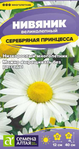 Нивяник Серебряная принцесса