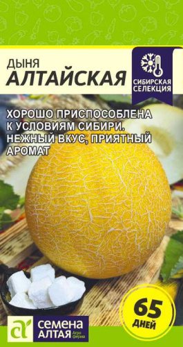 Дыня Алтайская 