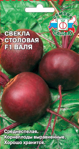 Свекла Валя 