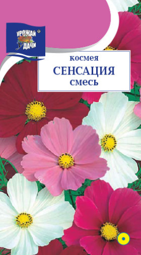 Космея Сенсация Смесь 