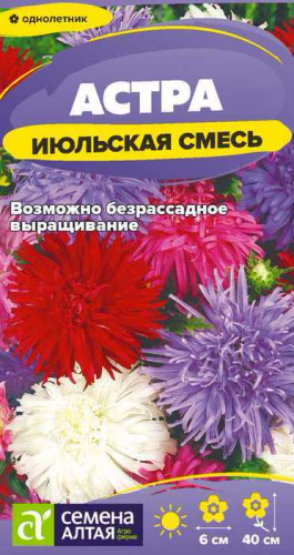Астра Июльская Смесь