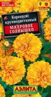 Кореопсис Махровое солнышко  купить