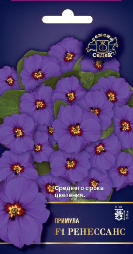 Примула Ренессанс F1 бесстебельная