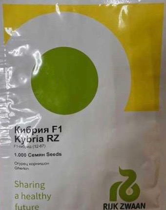 Огурец Кибрия F1 1000 шт
