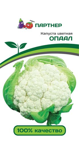 Капуста (цветная) Опаал 