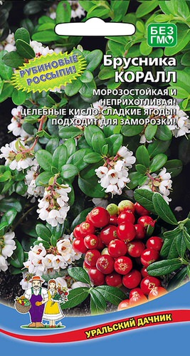 Брусника Коралл
