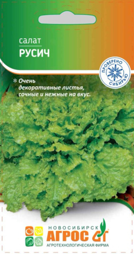 Салат Русич