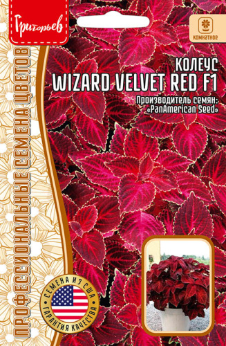 Колеус Визард Вельвет Ред (Velvet Red) F1