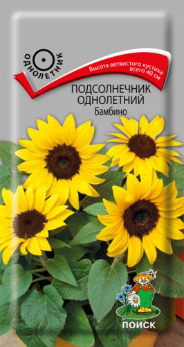 Подсолнечник Бамбино