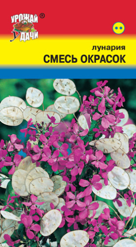 Лунария Смесь окрасок 