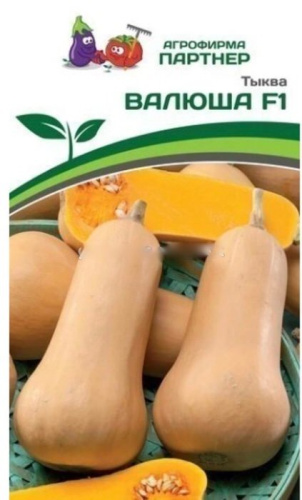 Тыква Валюша F1